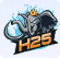 H25