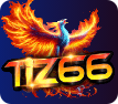 TIZ66